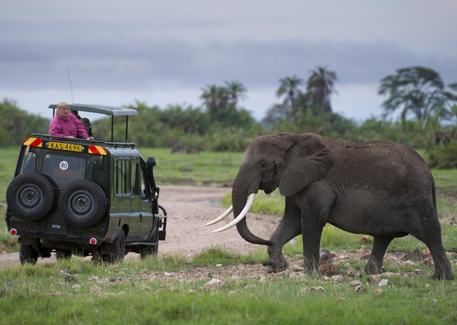 Kenya Country Profile Key Events And Facts About Kenya Insight Guides
