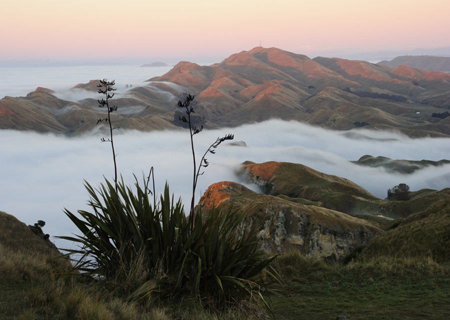 Te Mata Peak in the Hawke's Bay region, (photo by Peter James Quinn)