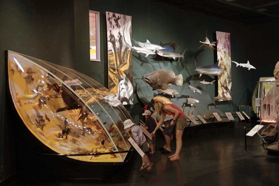 Darwin Travel Guide Discover the best time to go, places to visit and