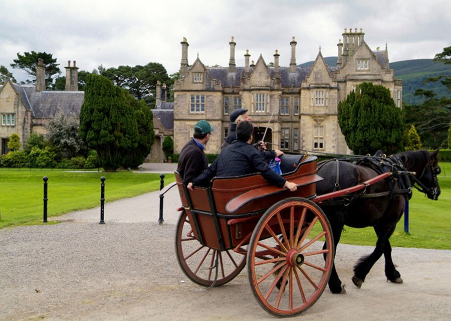 Killarney travel guide Holidays by Insight Guides Discover Trips