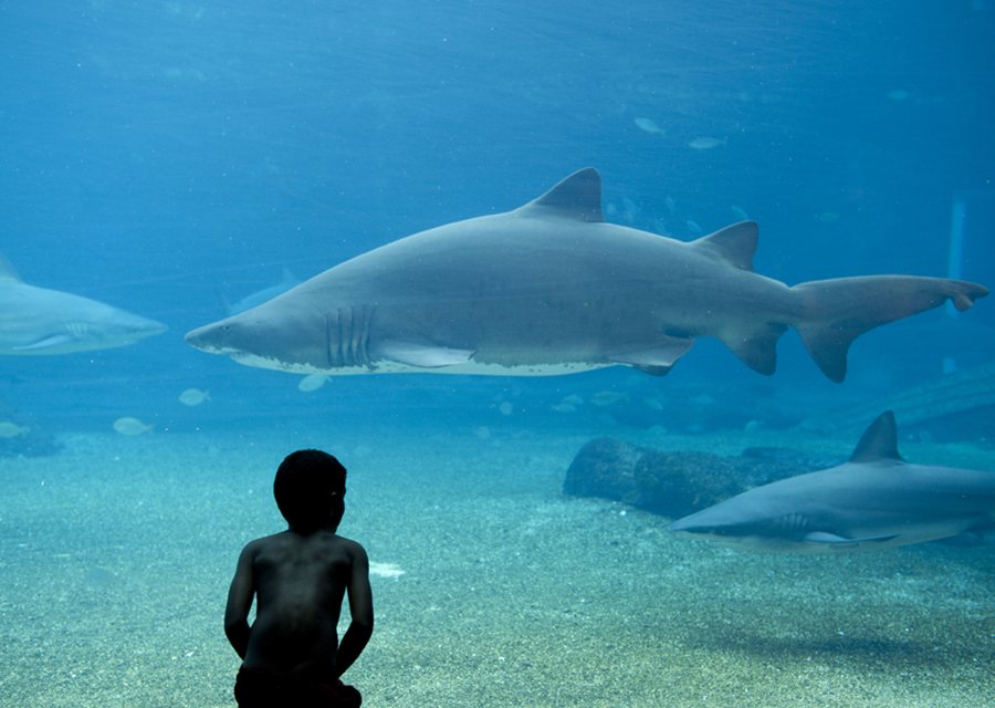 South Africa Travel Guide Discover the best time to go, places to